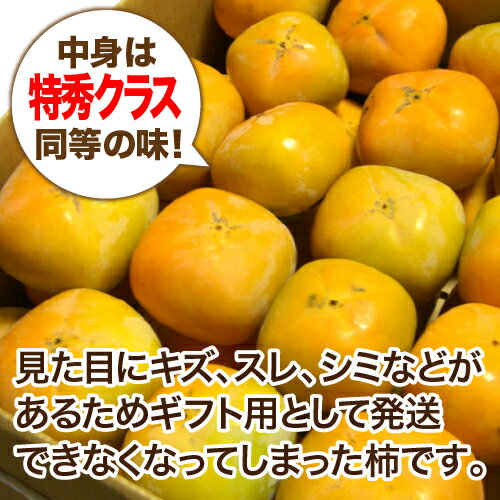 【奈良西吉野産わけありたねなし柿（M〜3L 15〜20個入り・約4kg）】送料無料