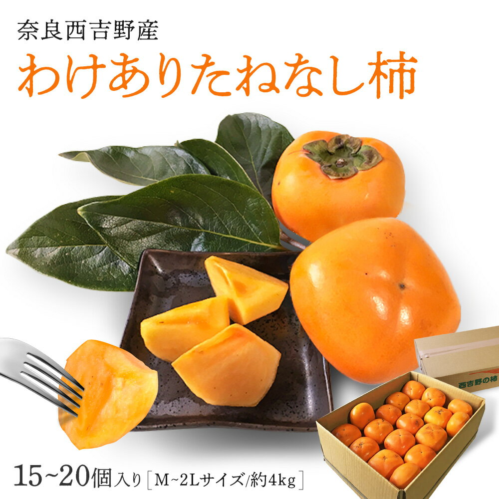【奈良西吉野産わけありたねなし柿（M〜2L 15〜20個入り・約4kg）】送料無料