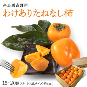 【奈良西吉野産わけありたねなし柿（M〜2L 15〜20個入り・約4kg）】送料無料