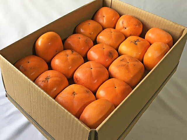 【奈良西吉野産わけありたねなし柿（M〜3L 15〜20個入り・約4kg）】送料無料