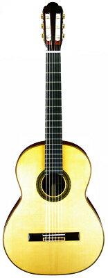 Classic Guitar A-100C w/Bag 鳴りがよく弾きやすい、アリアのクラッシックギターシリーズ。2007年バリエーションが増えより外観、質がグレードアップ。これからクラシックギターを始める人から上級者までお奨めできるラインナップとなっています。 　 全てのモデルが単板トップによる本格的な鳴りが特徴。上質なペグ、ウッドバインディングの採用など細かな点にもこだわった造り。セダー、スプルストップまた各モデル弦長630mmからも選べる豊富なラインナップとなっています。 Specifications Top: Selected Solid Cedar Back &amp; Sides: Solid Rosewood Saddle&amp;Nut: Bone Neck: Mahogany Fingerboard: Ebony Scale: 650mm Bridge: Rosewood Hardware: Gold　