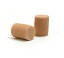 PlanetWaves ץ饰 PWEP1 Ear Plug (Pair)smtb-msۡRCPۡzn