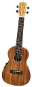 DCT Japan Ukulele DUC-152KE コンサートサイズ、プリアンプ付きウクレレ