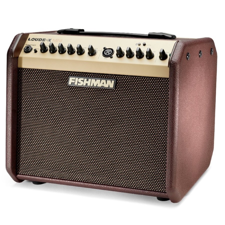 Fishman Loudbox Mini Bluetooth Amplifier アコースティックギター アンプ