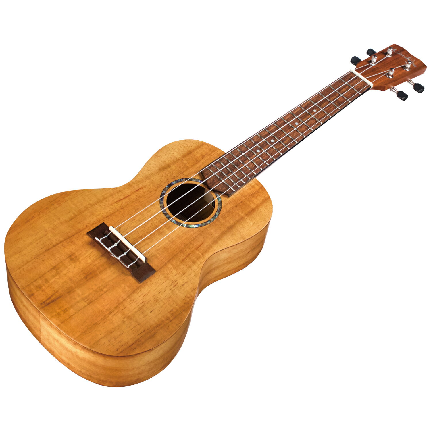 Cordoba 28C コルドバ コンサート ウクレレ