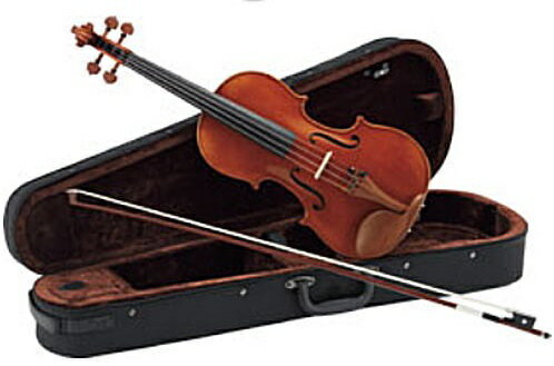 カルロジョルダーノ バイオリンセット VS-2