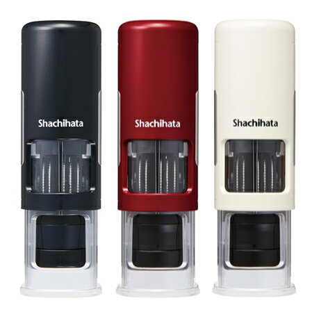 シャチハタデーターネームEXキャップレス15号【別注品】〈Aタイプ〉