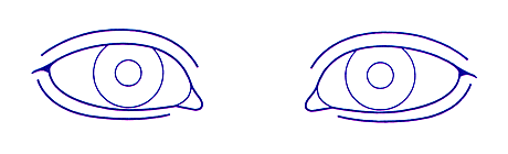 ϥѷѿοޡܡ12471mm