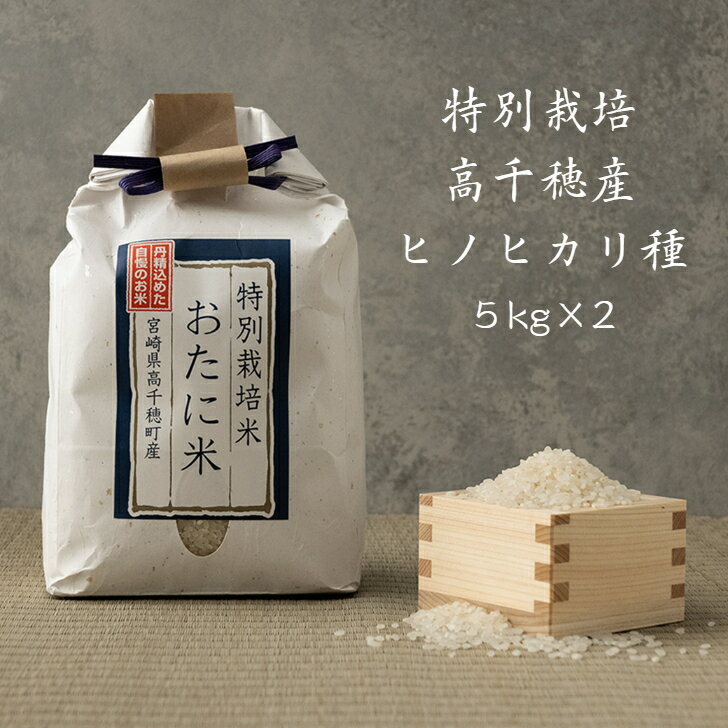 【送料無料】宮崎高千穂【5kg×2セット】 米《国産100％ 九州産》特別栽培米 ヒノヒカリ（ひのひかり）