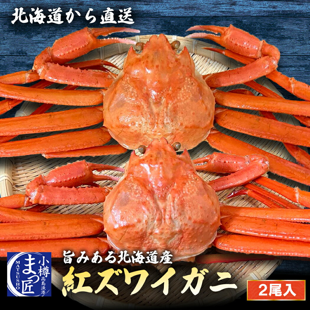 紅ズワイガニ 【さらに値下げ】【北海道産 紅ズワイガニ 2尾入り】北海道から直送 かに 蟹 ギフト ズワイガニ 北海道産 カニ ずわいがに 生食可能