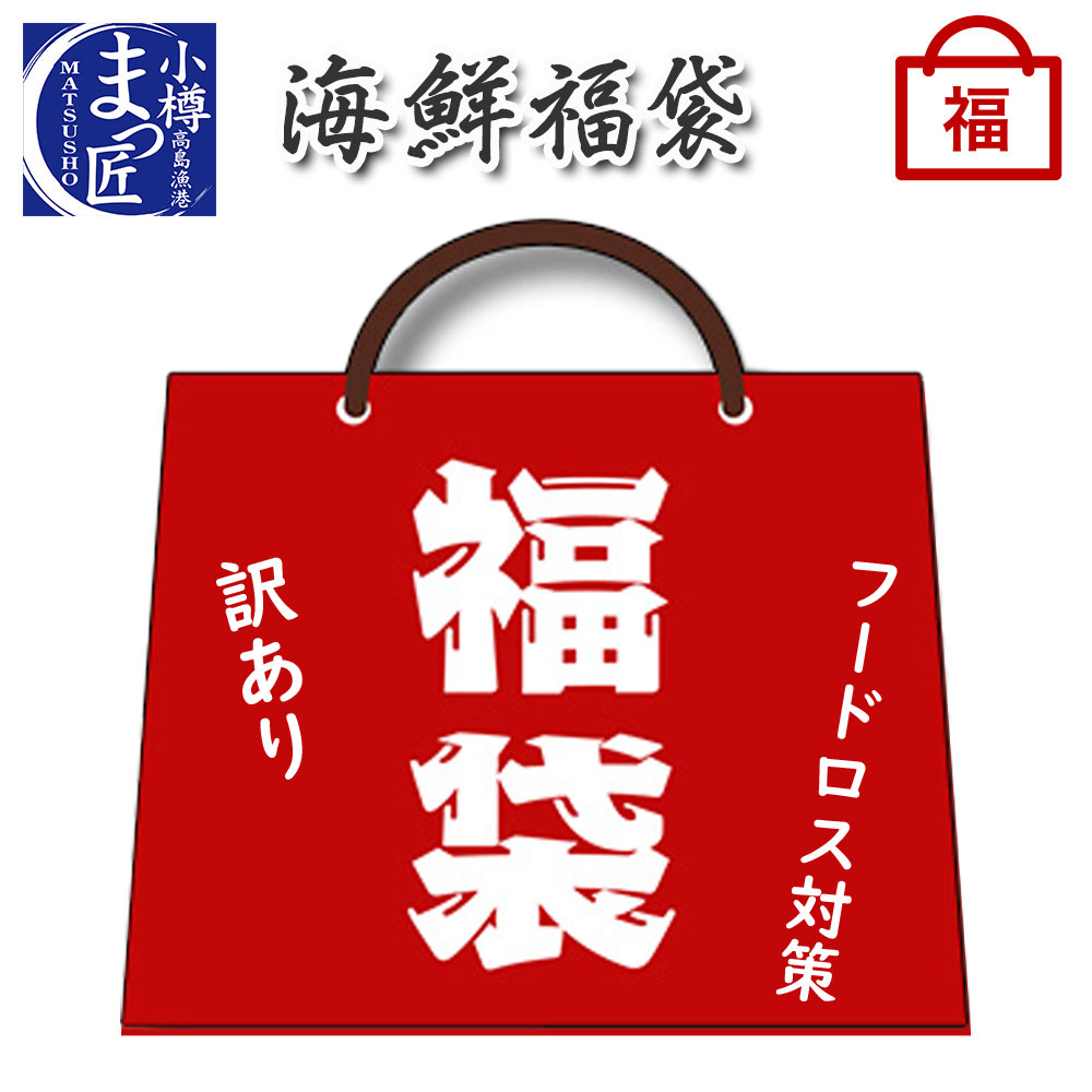 【訳あり海鮮福袋】 2023 海鮮 セット 食品 ロス 訳あり フードロス削減 北海道 食品 海産物 コロナ 食品ロス 在庫処…