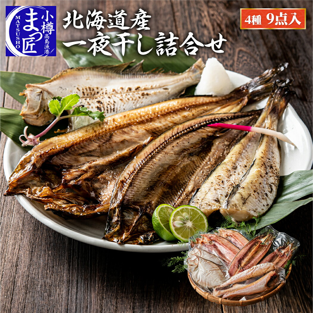 北海道 食品 一夜干し ギフト 贈り物 セット 乾物 海鮮 セット お取り寄せグルメ 干物 おすすめ 贈答 誕生日 送料無料 内祝 北海道グルメ 厳選 海産物 海鮮 ギフト お祝い 酒 おつまみ