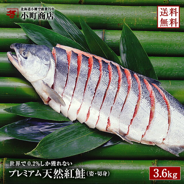 鮭 3.6k g 前後 お歳暮 ギフト 北海道 より 新物 出荷 世界で0.2％しか獲れない 送料無料 北海道産 鮭 の 王様 沖獲り 高級 プレミアム 天然 紅鮭 姿 切り身 1本 一匹 一本 】さけ サケ 天然鮭…