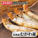 残り 数箱 送料無料 ししゃも 北海道 むかわ産 鵡川産 本ししゃも （オス）×30尾 2022年新物【期間数量 限定 販売 無添加 天日干し 北海道産 本ししゃも オス 30尾 ( 箱入れ ）】卵がない分旨味が凝縮しています 北海道産 国産 北海道グルメ お取り寄せグルメ