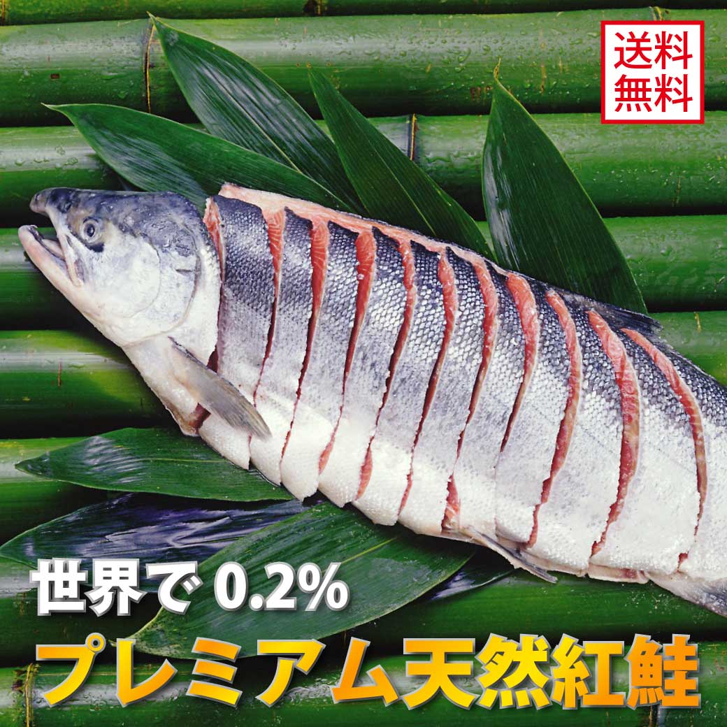 お中元 鮭 3k g 前後 北海道 より 新物 出荷！【 13年連続 楽天市場のお歳暮 ギフトで1番喜ばれている 世界で0.2％しか獲れない特別厳選 Aランク 鮭 の 王様 送料無料 沖獲り プレミアム 天然 紅鮭 姿 切り身 3kg 前後 1本 一匹 一本 サケ シャケ しゃけ 天然鮭 魚の商品画像