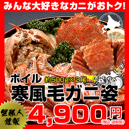 繊細で締まった毛ガニの身は風味とコクのある甘さで、カニの中でも最高の味わい！ボイル寒風毛ガニ姿約1kg (約500g×2尾)⇒4,900円【楽ギフ_のし】