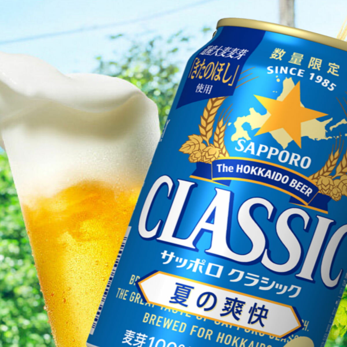 夏の爽快　AA 2025 父の日 お中元 北海道限定　サッポロクラシック ビール 夏の爽快　　　サッポロビール クラシック