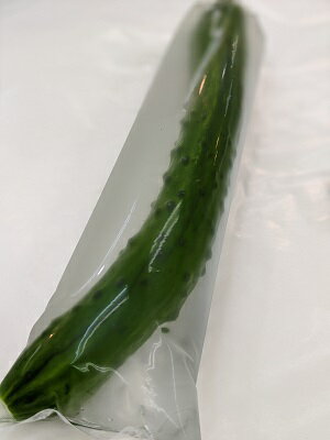 【国産】浅漬け はぐらうり 漬物 瓜 旬野菜 成田名産品 土産 お取り寄せグルメ 製造元直送 送料無料対象外商品