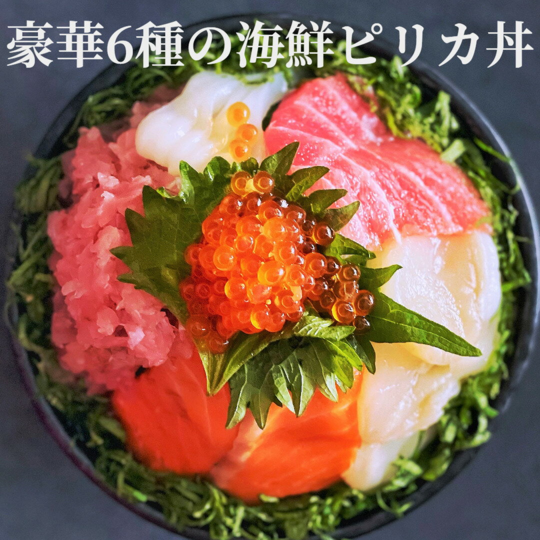 豪華6種の海鮮ピリカ丼（4食セット