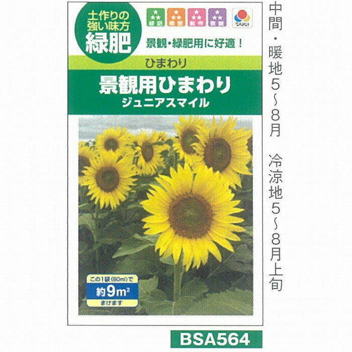 【芝草・牧草】緑肥・景観用ひまわり　ジュニアスマイル[BSA564]/小袋(約9平方メートル)