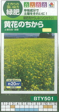 【芝草・牧草】緑肥用からしな（シロカラシ） 黄花のちから（景観用・生物くん蒸作物）[BTY501]/小袋(約20平方メートル)