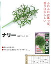 コリアンダー（パクチー・シャンツァイ・香菜）　ナリー（細葉TS-202）〔トキタ種苗〕/小袋（10.0ml）