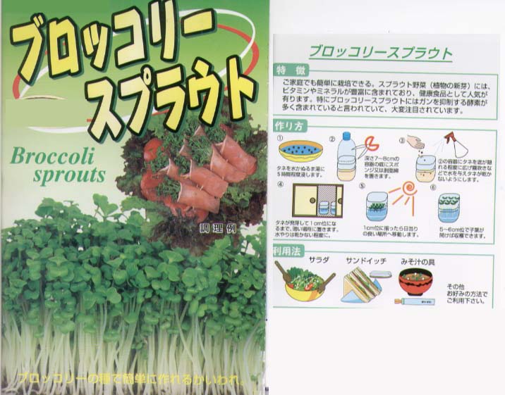 【スプラウト】ブロッコリースプラウト〔松永〕