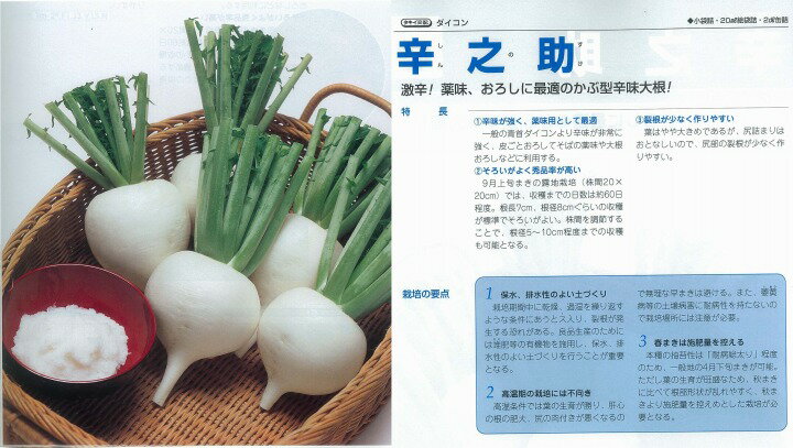 樂天商城 - 【ダイコン】辛之助〔タキイ交配〕