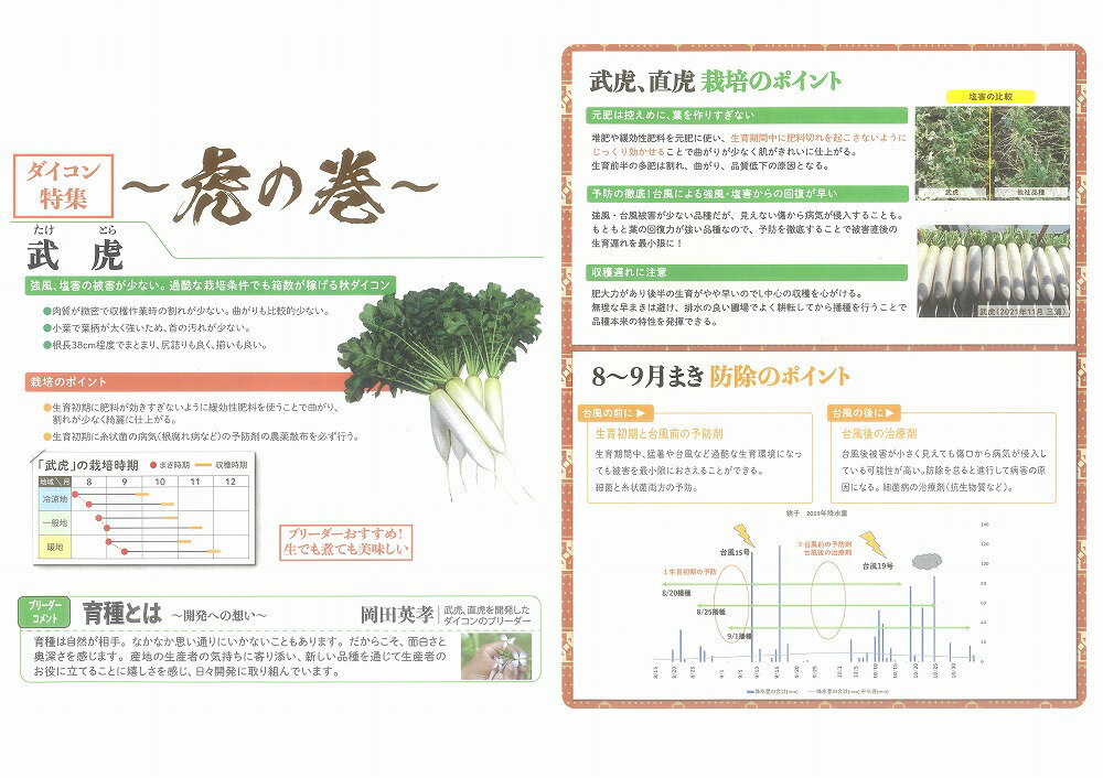 樂天商城 - 【ダイコン】武虎〔0403〕