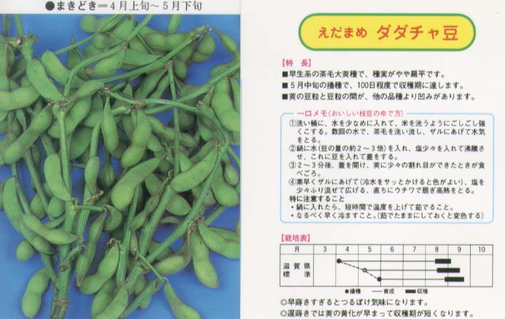 樂天商城 - 【エダマメ】ダダ茶豆〔本場産〕