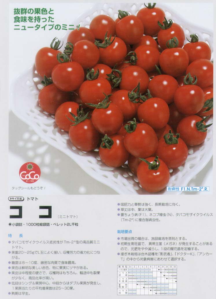 【ミニトマト】CFココ〔タキイ交配〕（登録品種名：TTM043）