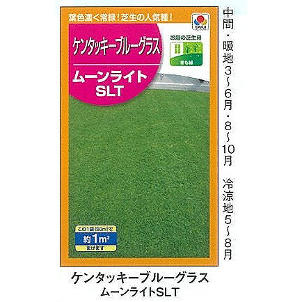�ڼ���ۥ��󥿥å����֥롼���饹 �ࡼ��饤��SLT[BLG539]