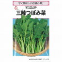 【花菜】ツボミナ 三陸つぼみ菜〔固定種0055〕/小袋(3.0ml)