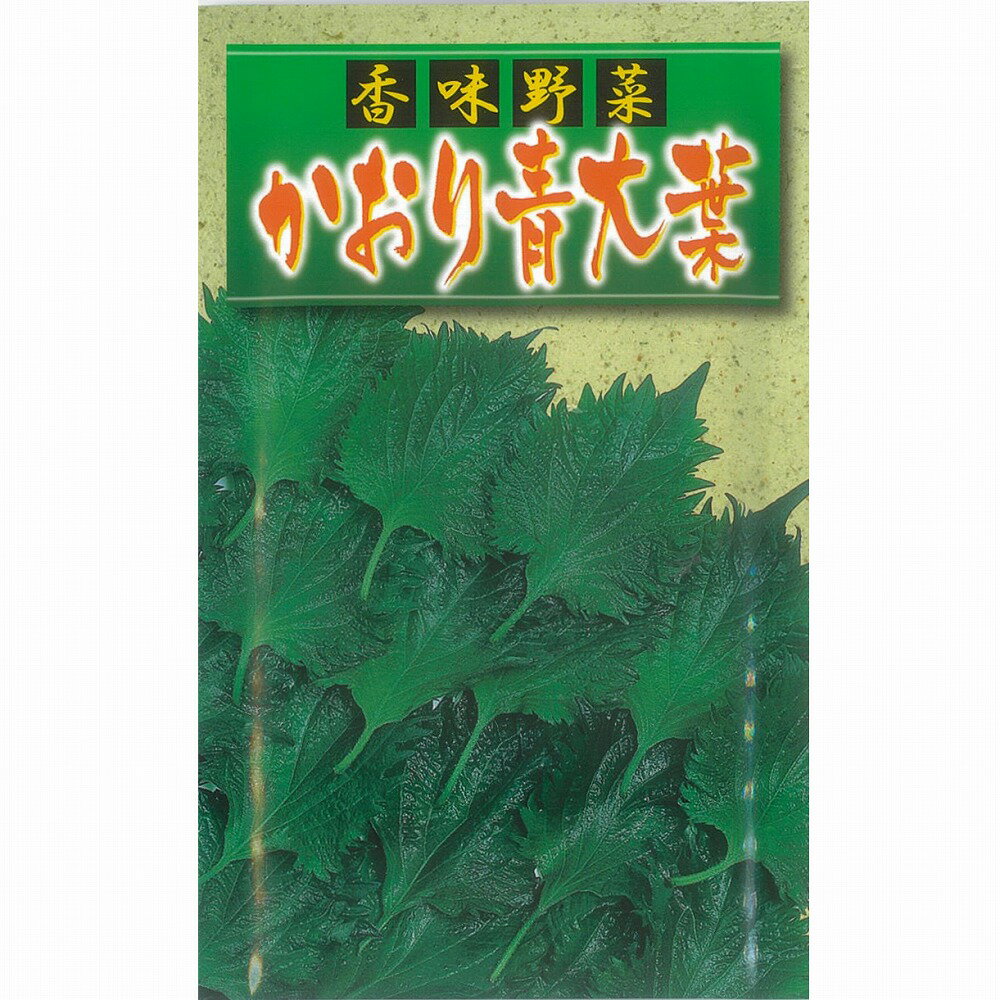 【その他の菜類】かおり青大葉しそ〔アサヒ〕/小袋 （6.0ml）