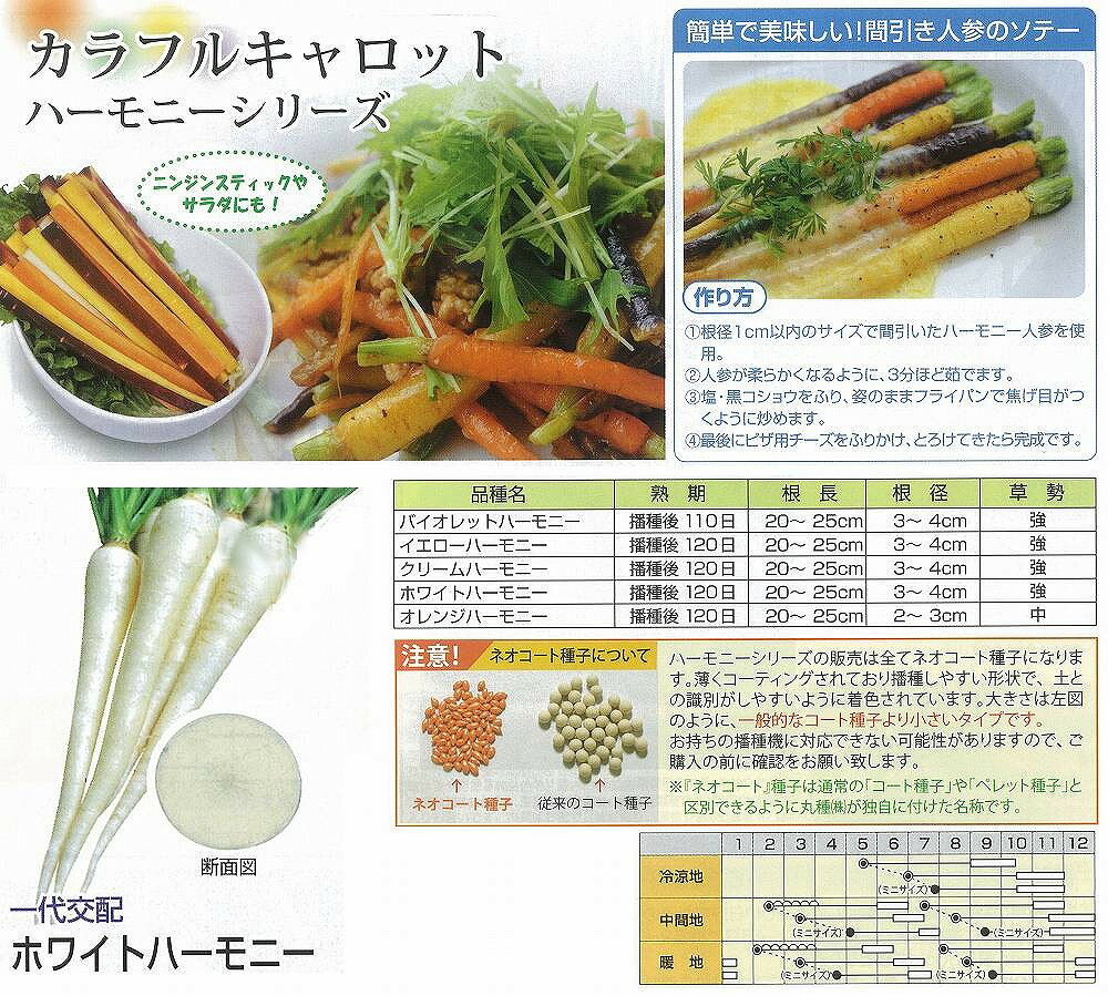 �ڥ˥󥸥�ۥۥ磻�ȥϡ���ˡ��̰�����ۡ��ݼ�0050��/���ޡ�260γ��