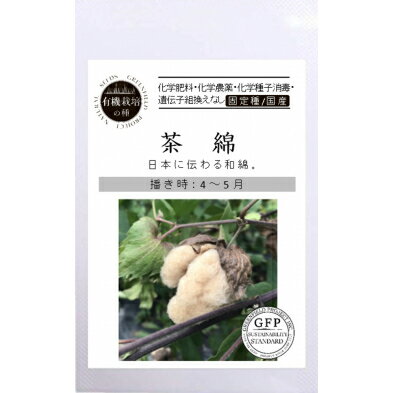 【オーガニックの花と緑肥】 和綿 わめん 茶錦[A457]/小袋