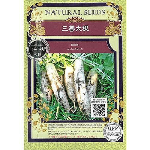 【オーガニックの根菜】大根 三善大根 　A389〔固定種〕/小袋(1.0g 約60粒)のサムネイル