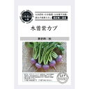 【オーガニックの根菜】木曽紫カブ A665 〔固定種〕/小袋 0.4g 約100粒 