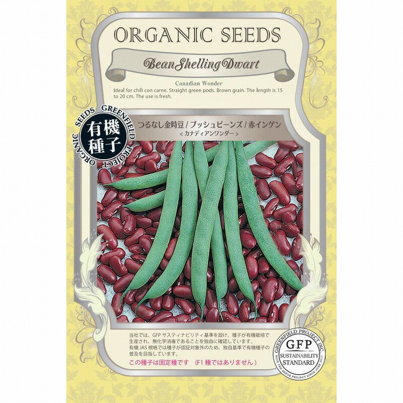 【オーガニックの豆類】つるなし金時豆 赤インゲン カナディアンワンダー〔固定種〕[A640]/小袋（18粒）