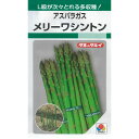 【アスパラガス】メリーワシントン〔導入種〕/小袋(9.0ml)