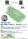 【つるあり菜豆（インゲン）】南星（ハイブシ）〔固定種0336〕（フタバ）/小袋（20ml）