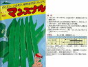 【つるあり菜豆(インゲン)】マンズナル菜豆〔サトウ育成〕/小袋(50ml)