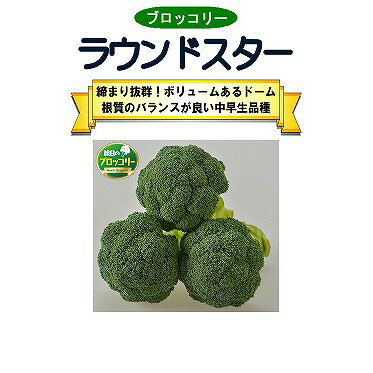 【ブロッコリー】ラウンドスター（AB-180）〔朝日アグリア〕/Lコート5000粒