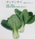 中国野菜　チンゲンサイ〔固定種〕/小袋（9.0ml）