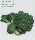 【中国野菜】タアサイ〔固定種〕/小袋（9.0ml）