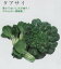 【中国野菜】タアサイ〔固定種〕/小袋(9.0ml) 237円