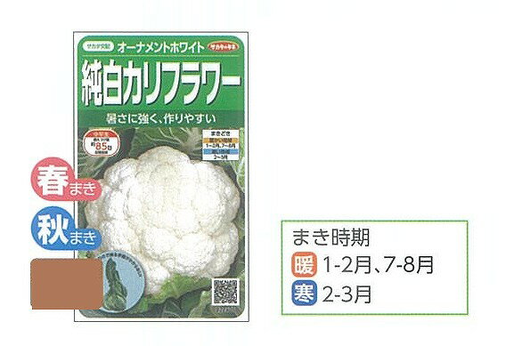 【カリフラワー】純白カリフラワー　オーナメントホワイト〔サカタ交配〕/小袋(120粒)