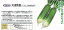 【ダイコン】天津青長〔宇治交配〕/小袋(6.0ml) 385円