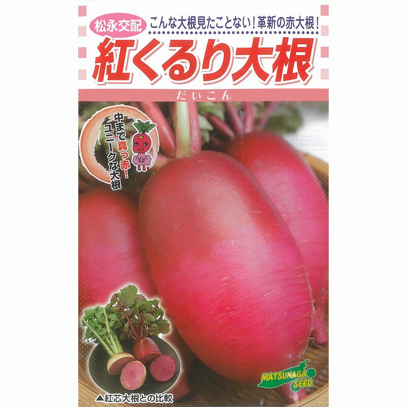 【ダイコン】紅くるり〔松永交配〕/小袋(3ml)のサムネイル