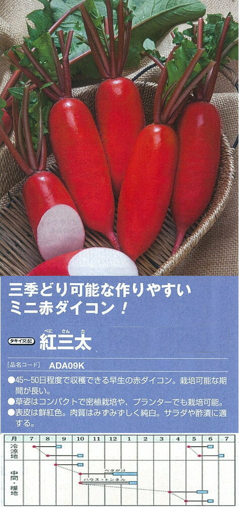 【ダイコン】紅三太〔タキイ交配〕/小袋（7.0ml）